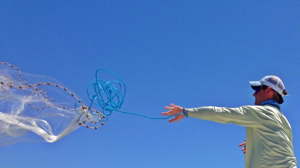 Casting a Net for Bait on a Hilton Head Fishing Charter