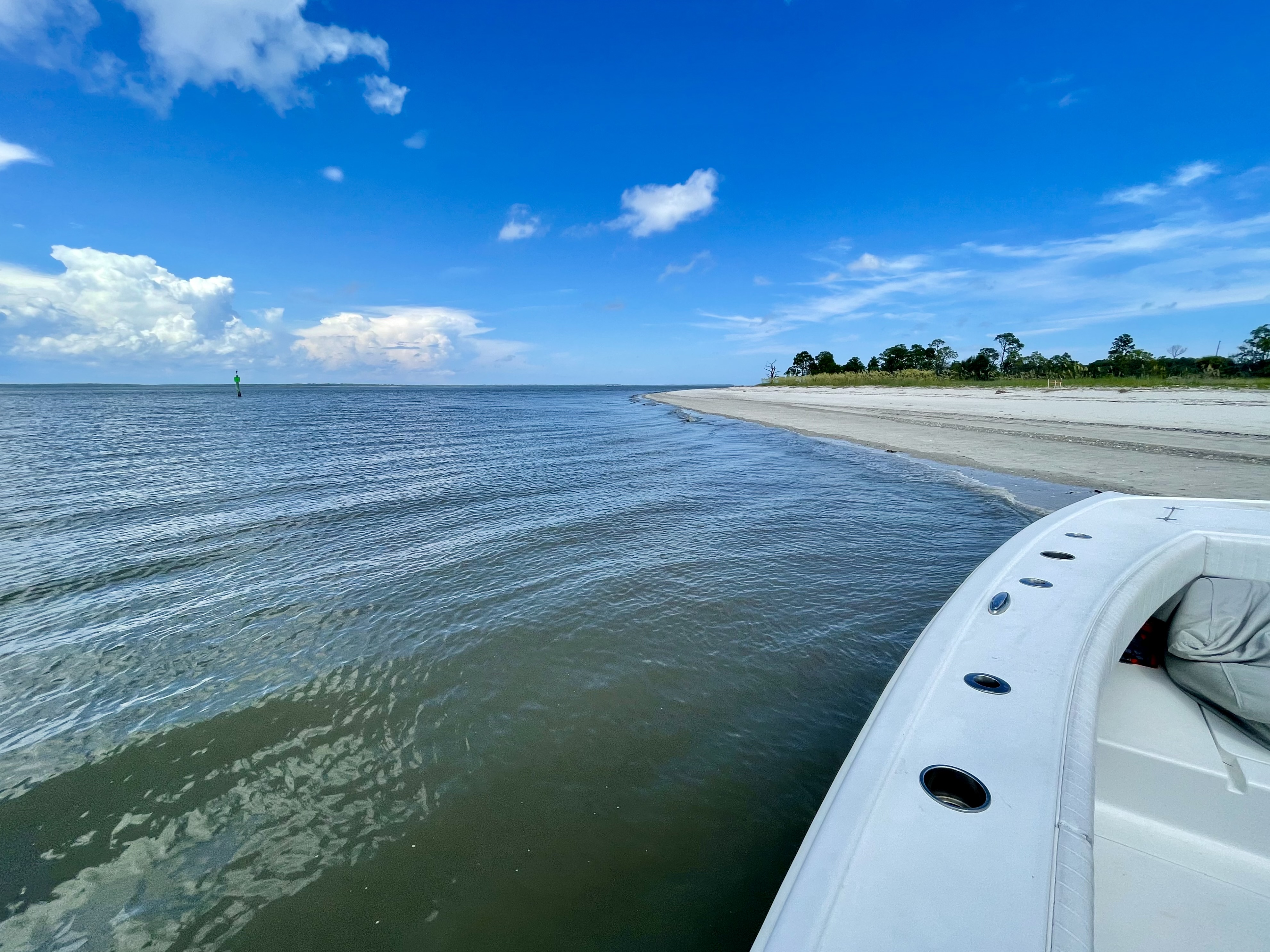 Hilton Head Beachcombing Adventure on A Live One