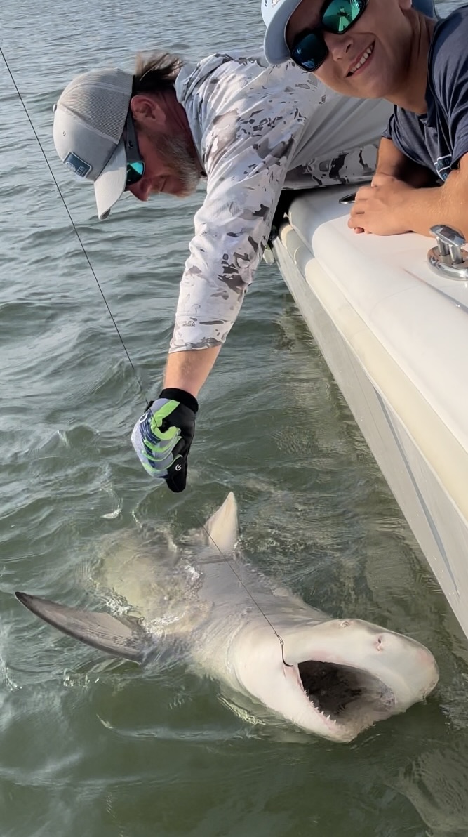 Monster Shark Fishing Charter with A Live One
